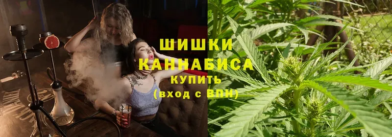 Конопля SATIVA & INDICA  Аркадак 